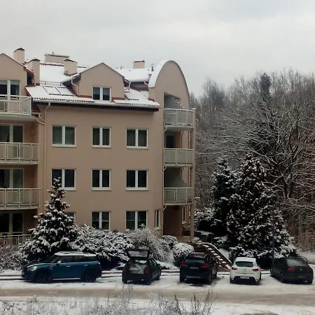 Apartment Lesny Loft