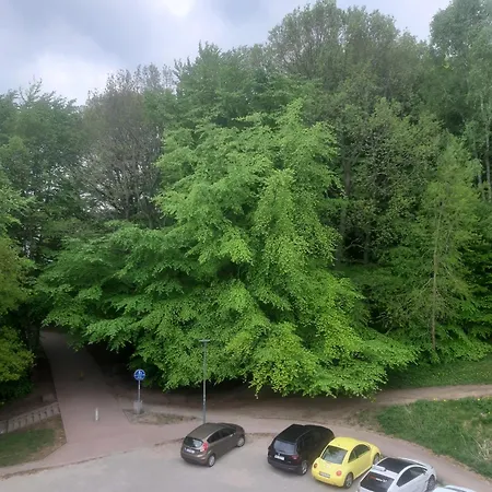 Lesny Loft Apartment Gdynia