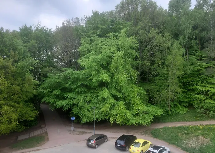 Lesny Loft Apartmán Gdyně